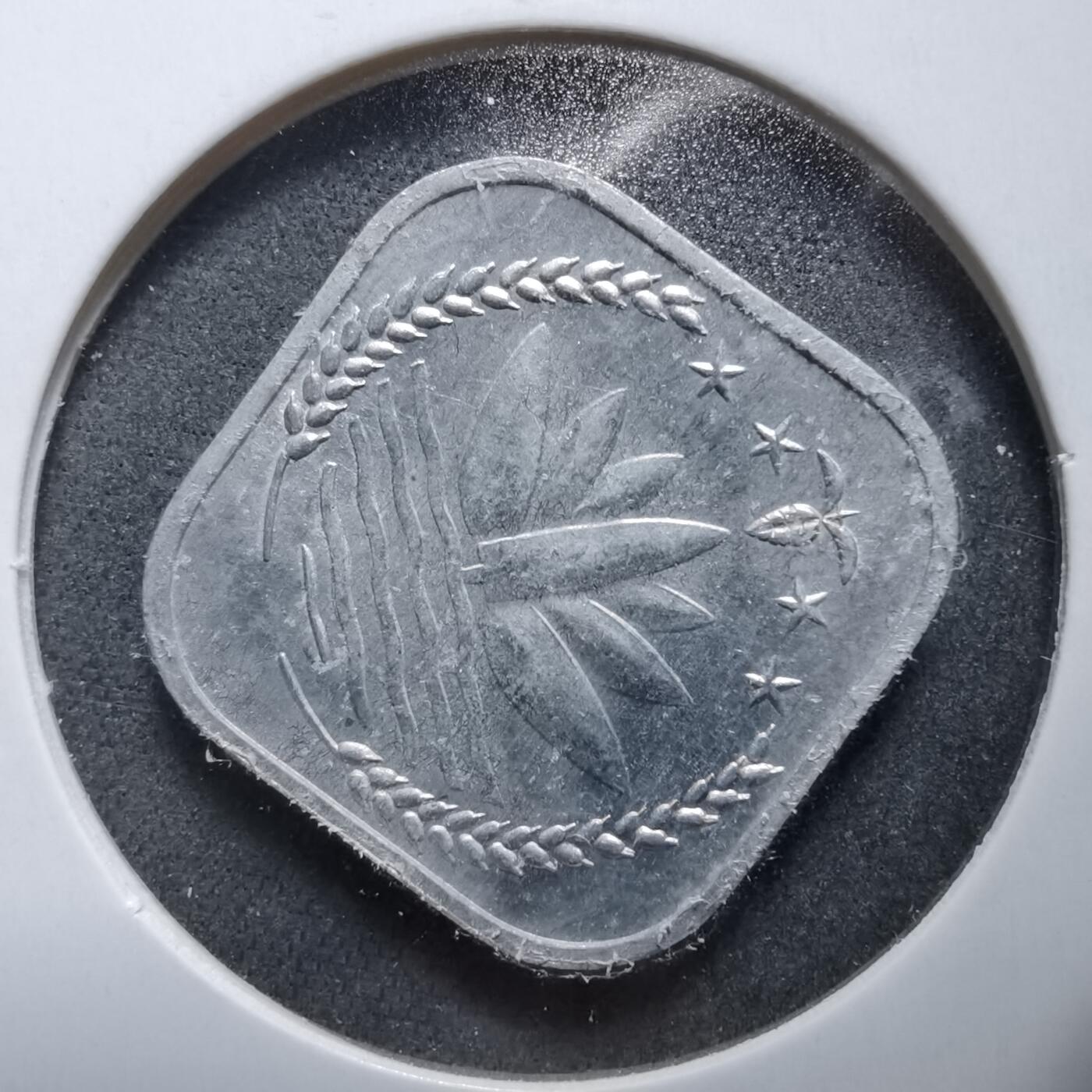 沼泽如烟--第889场 孟加拉