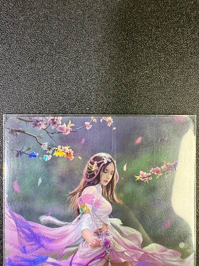 NO.14 好又多金牌大场，双11狂欢！每周一站式配齐，方便凑单！（周6晚8点截拍，卖家送拍0抽成！） - 三国志 闭月 粉貂蝉 珍藏限定 彩闪 1张