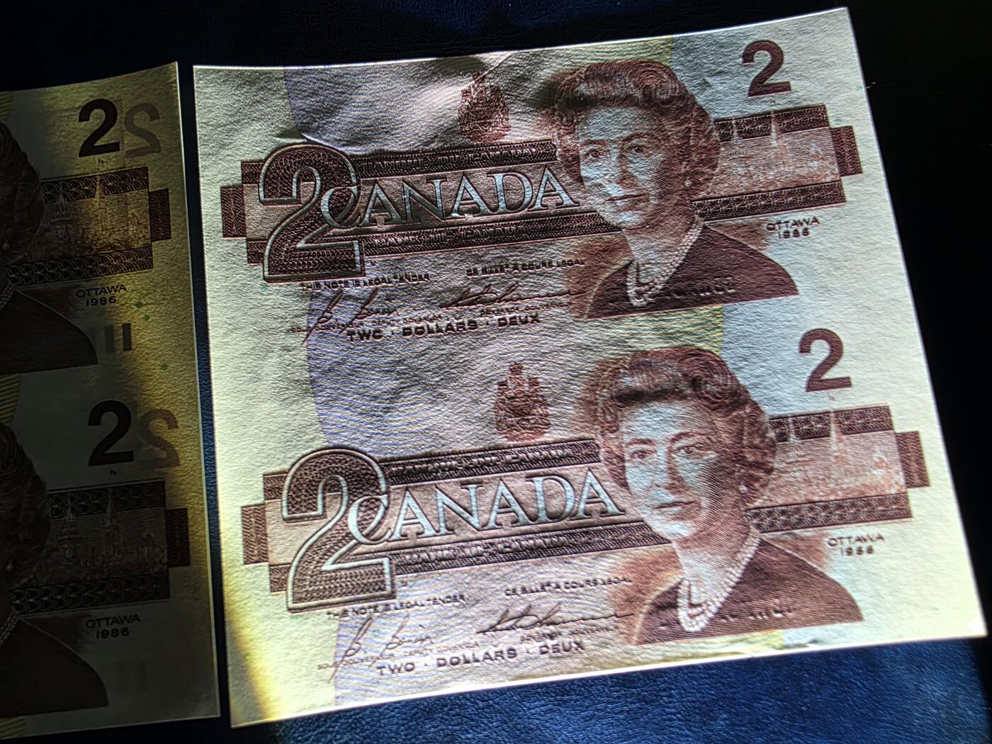 叁拾收藏第33期