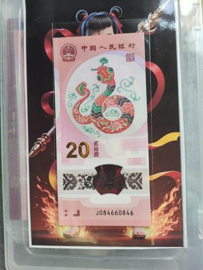 2025蛇纪念钞 - 2025蛇纪念钞