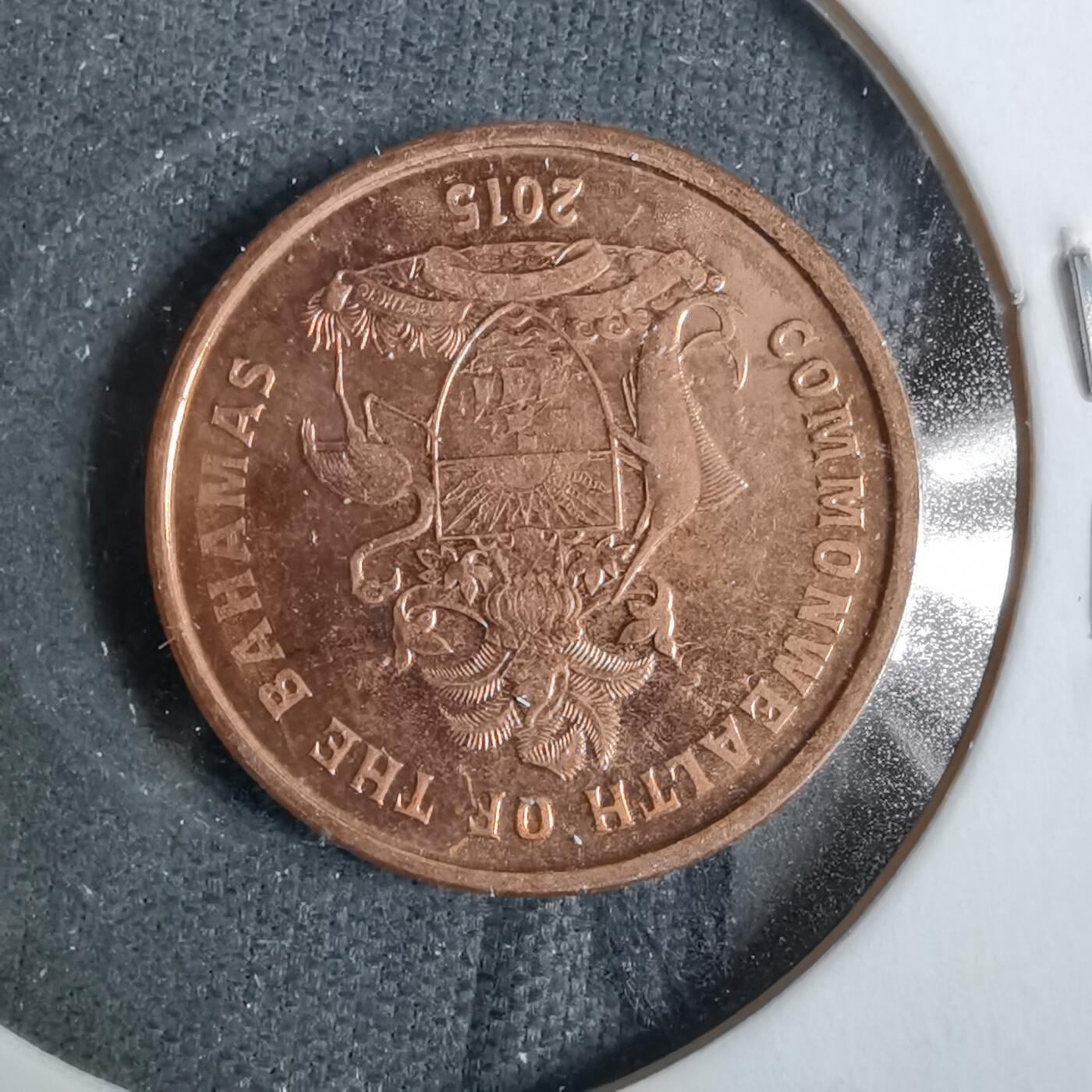 沼泽如烟--第889场