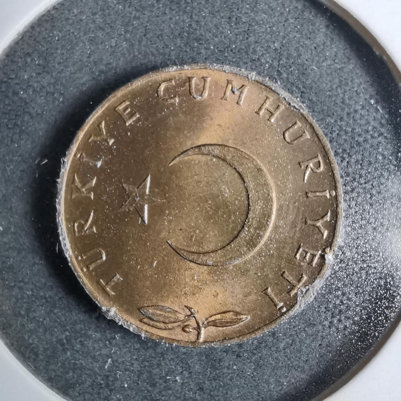 沼泽如烟--第889场