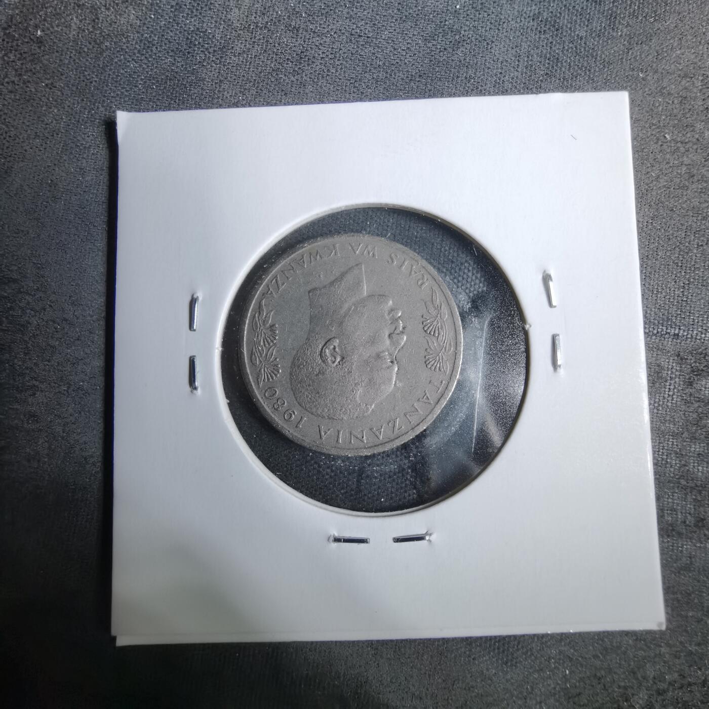 沼泽如烟--第889场