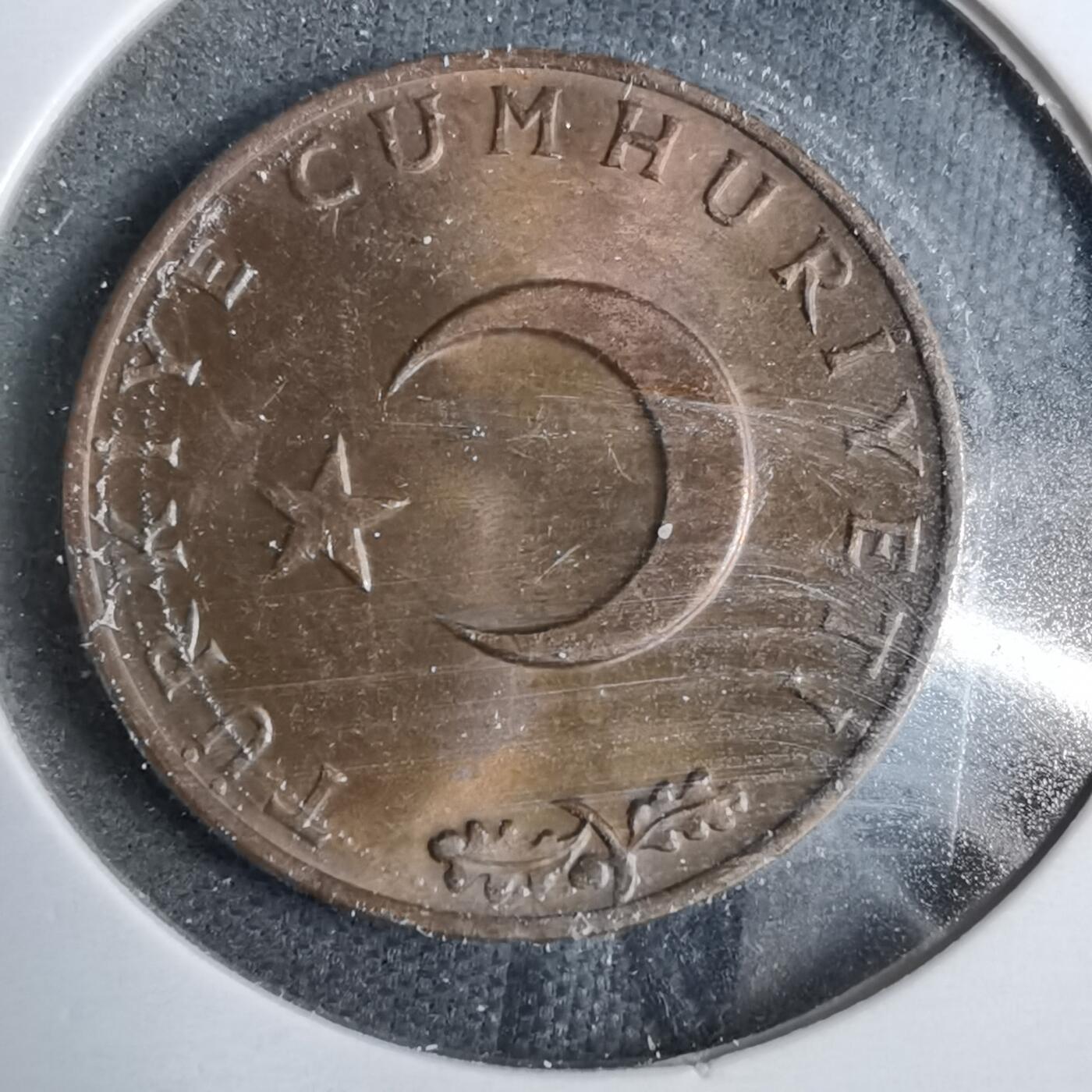 沼泽如烟--第889场