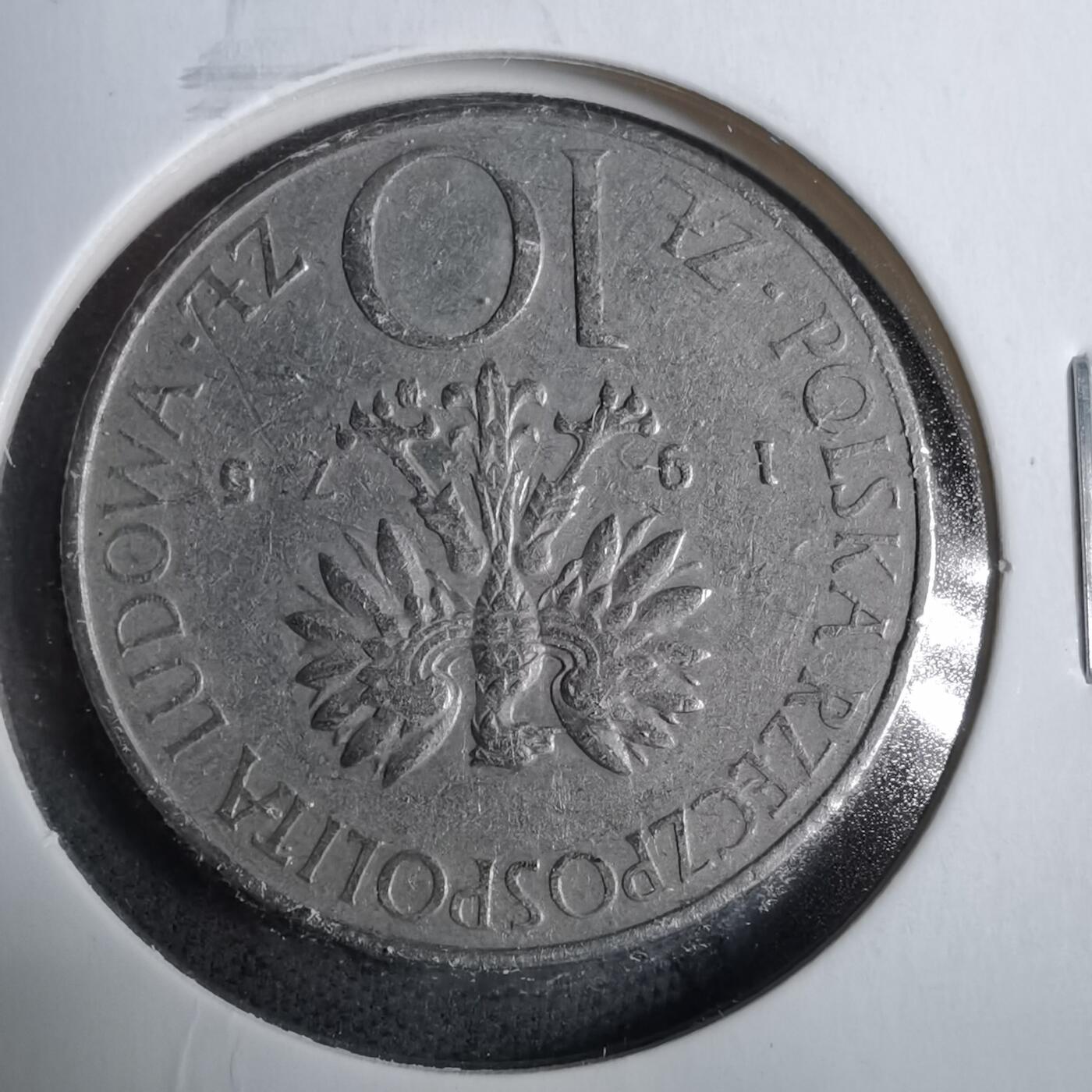 沼泽如烟--第889场