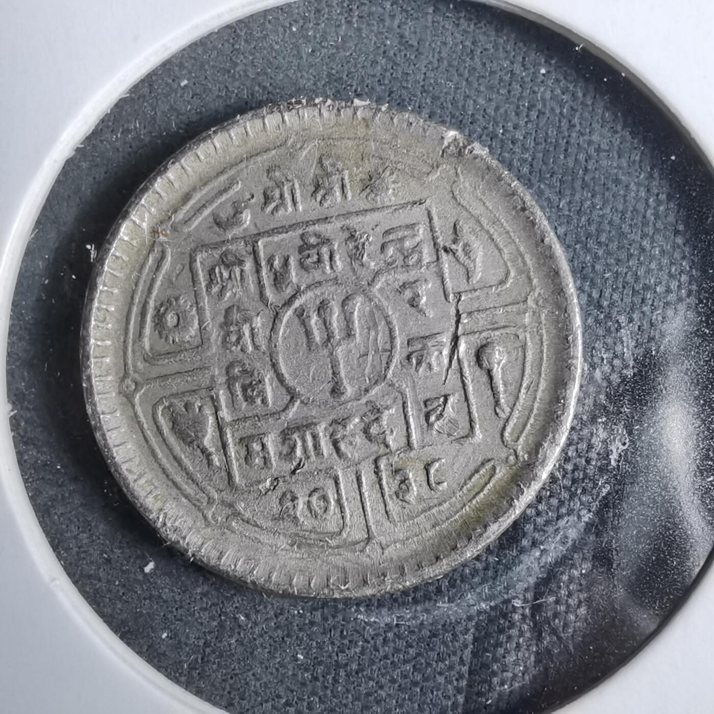 沼泽如烟--第889场