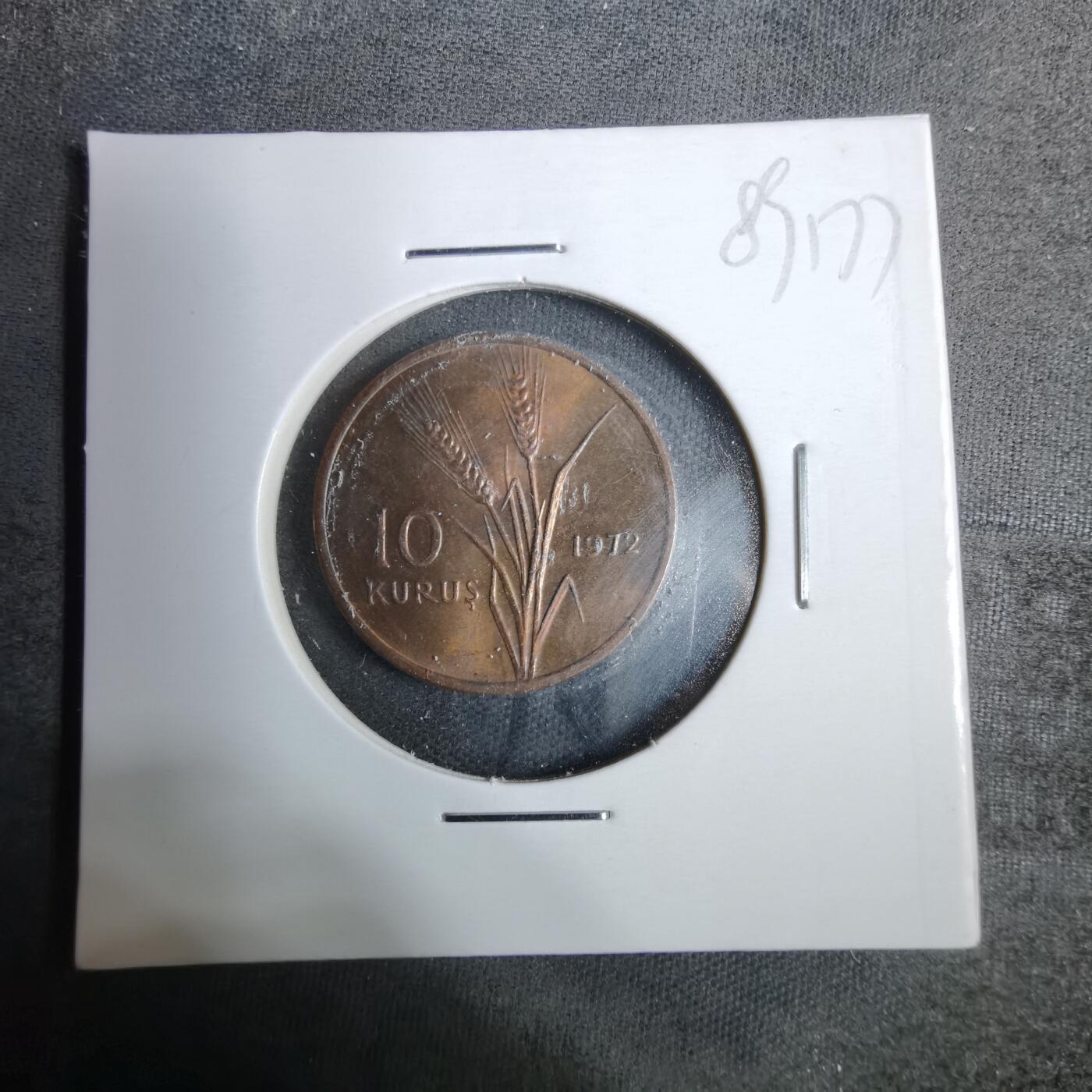 沼泽如烟--第889场