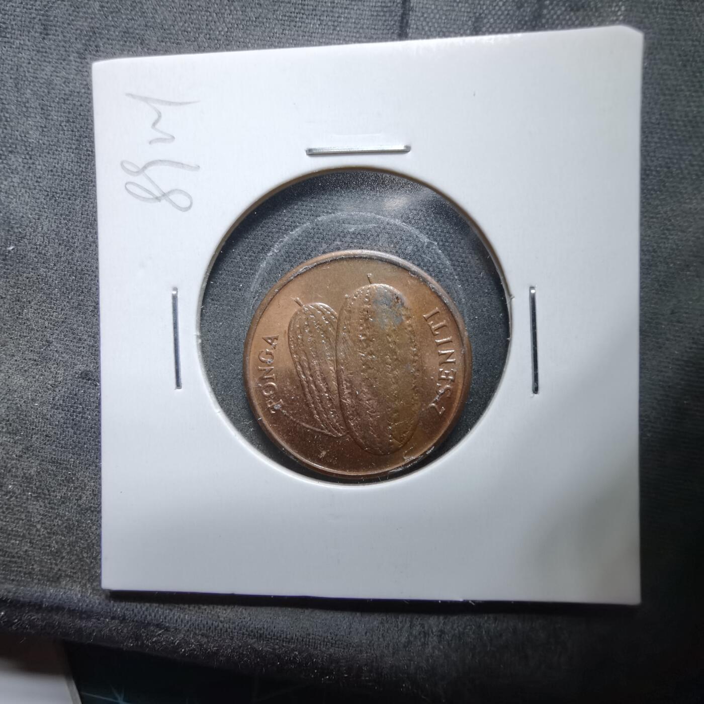 沼泽如烟--第889场