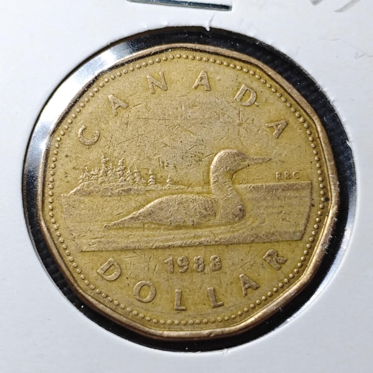 KK钱币收藏小铺  第363场  2月预留时间 周末发货  加拿大1元