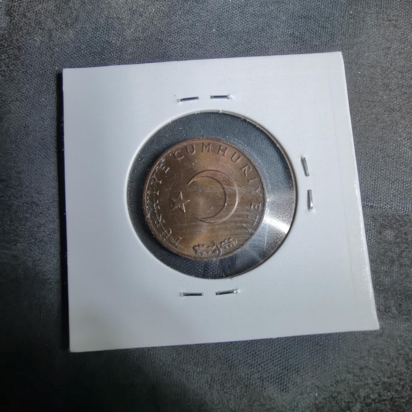 沼泽如烟--第889场