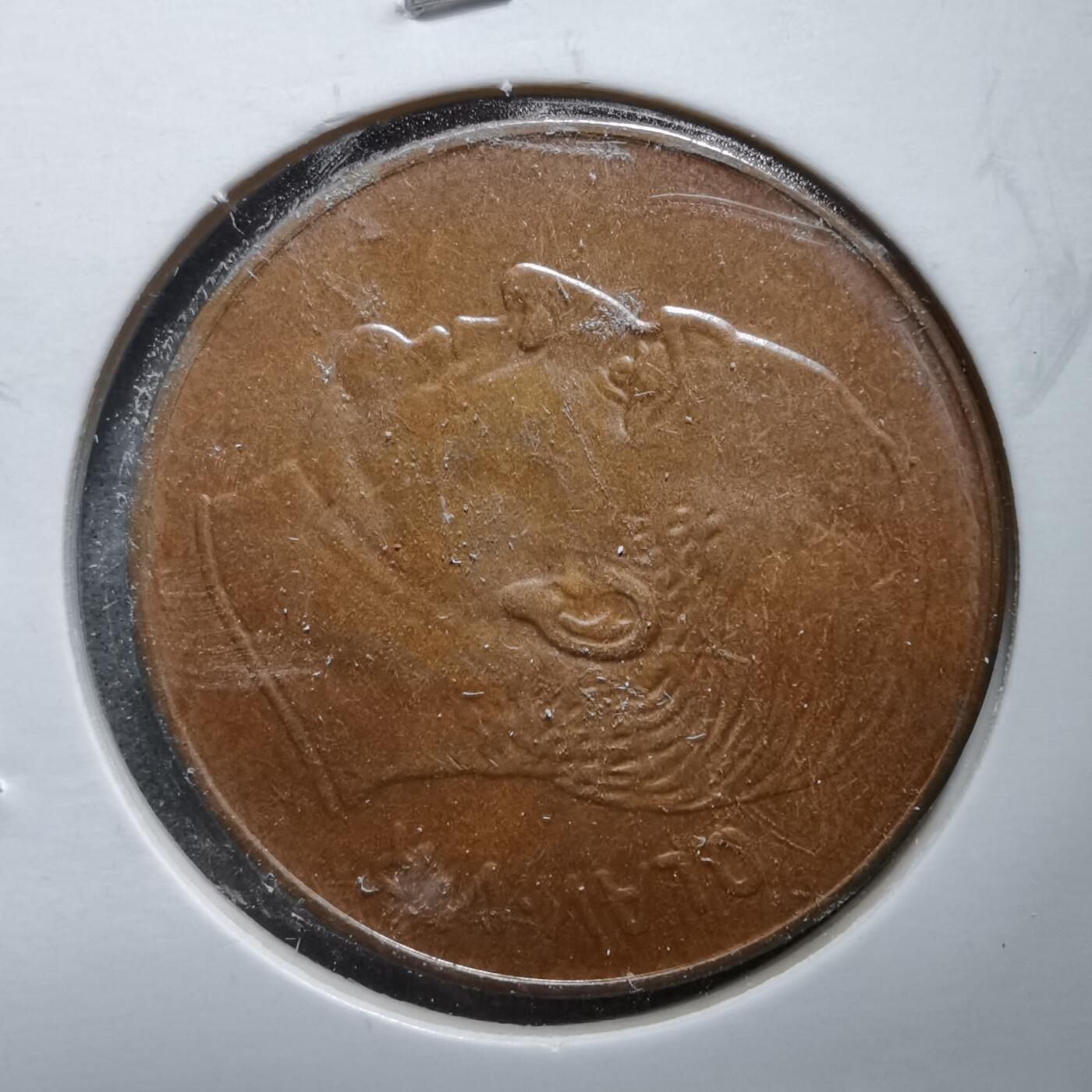 沼泽如烟--第889场 挪威1972年5欧尔