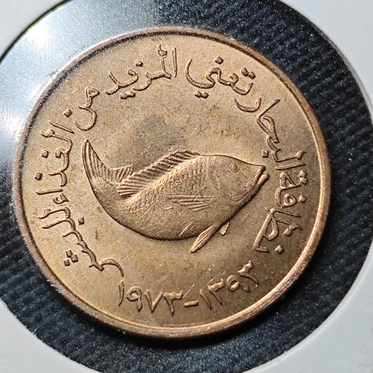 KK钱币收藏小铺  第363场  2月预留时间 周末发货  阿联酋5费尔纪念币 好品