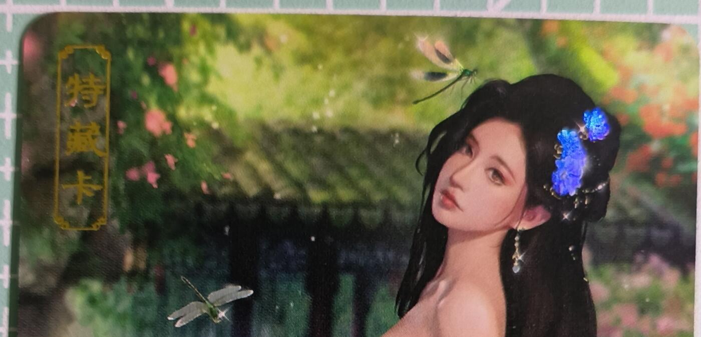 C先生卡牌 第15期 元集纪·刷子签·罐儿签·毒瘤签(持续收拍品中...) 【彩闪】卡将文创《欲女传》左棻  艺术卡