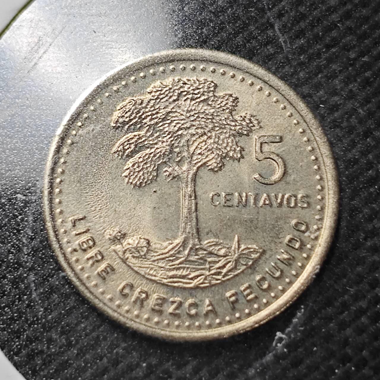 KK钱币收藏小铺  第363场  2月预留时间 周末发货  1987危地马拉5分 好品