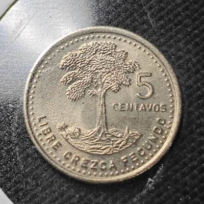 KK钱币收藏小铺  第363场  2月预留时间 周末发货 -  1987危地马拉5分 好品