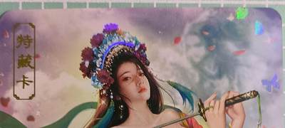 C先生卡牌 第15期 元集纪·刷子签·罐儿签·毒瘤签(持续收拍品中...) - 【彩闪】卡将文创《欲女传》虞姬  艺术卡