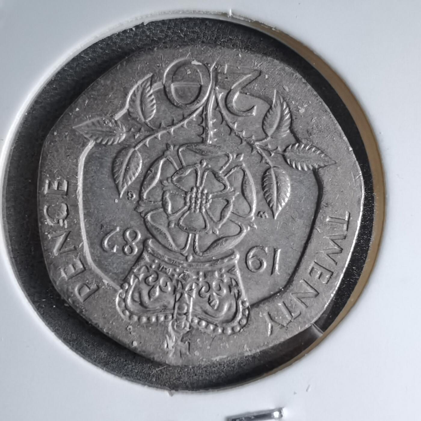 沼泽如烟--第890场