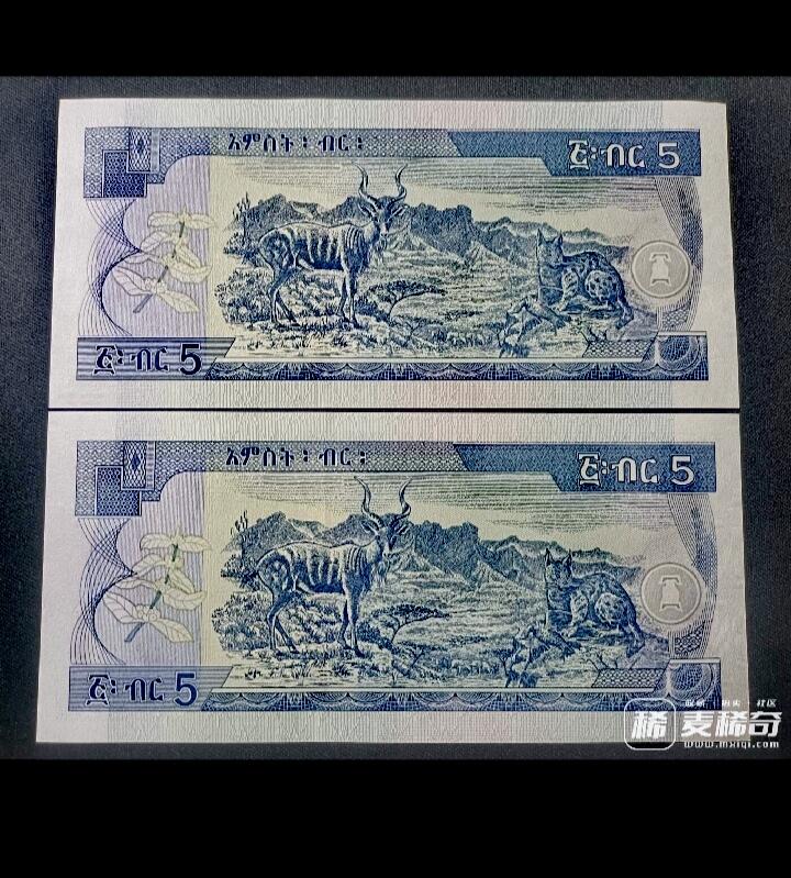 全新埃塞俄比亚2017年5比尔三连永恒号靓品纸币3枚一组