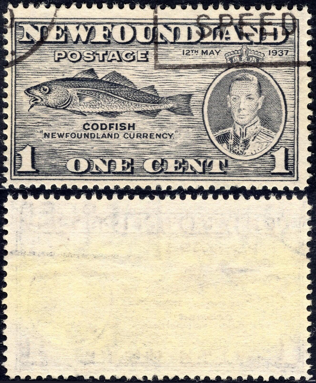 洪涛臻品批发群 精选邮票限时拍卖第1155期 