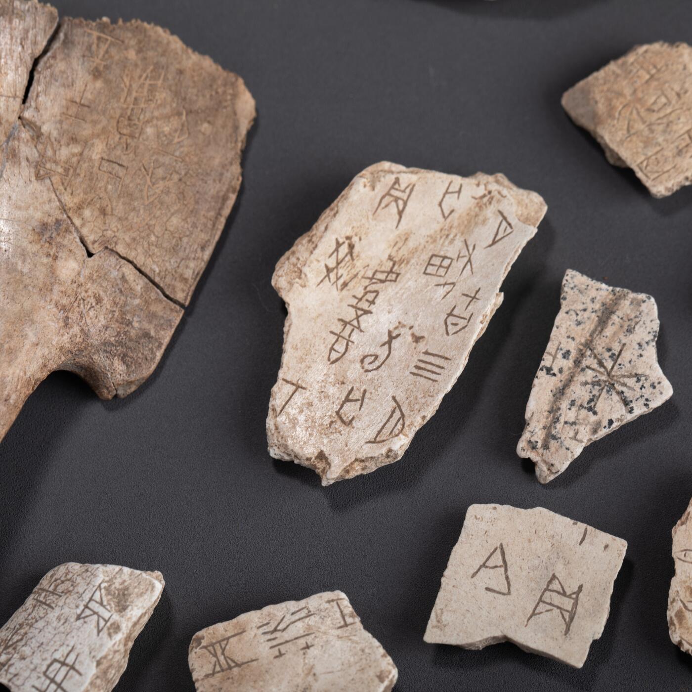 日本大阪雅和auction 2025金秋競賣會第一期 甲骨文 一組86點 尺寸:尺寸不一 備註:木箱