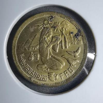 沼泽如烟--第890场 - 埃及纪念币