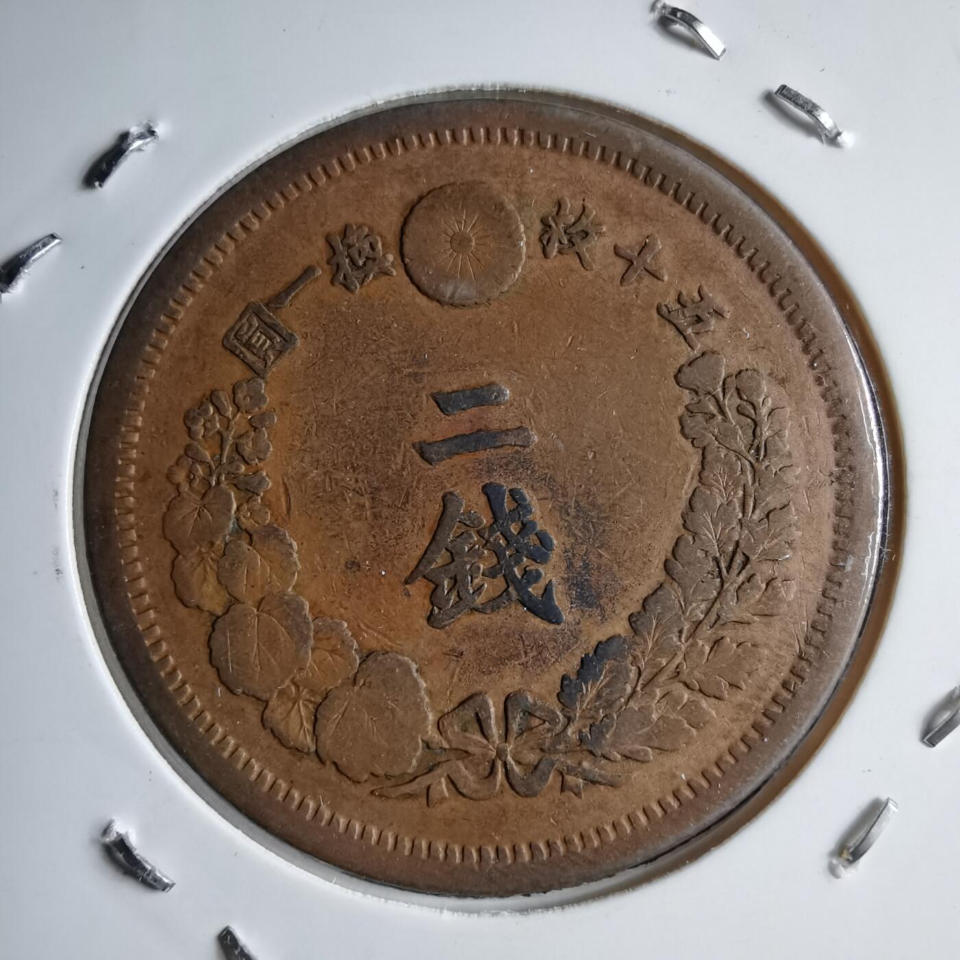 沼泽如烟--第891场