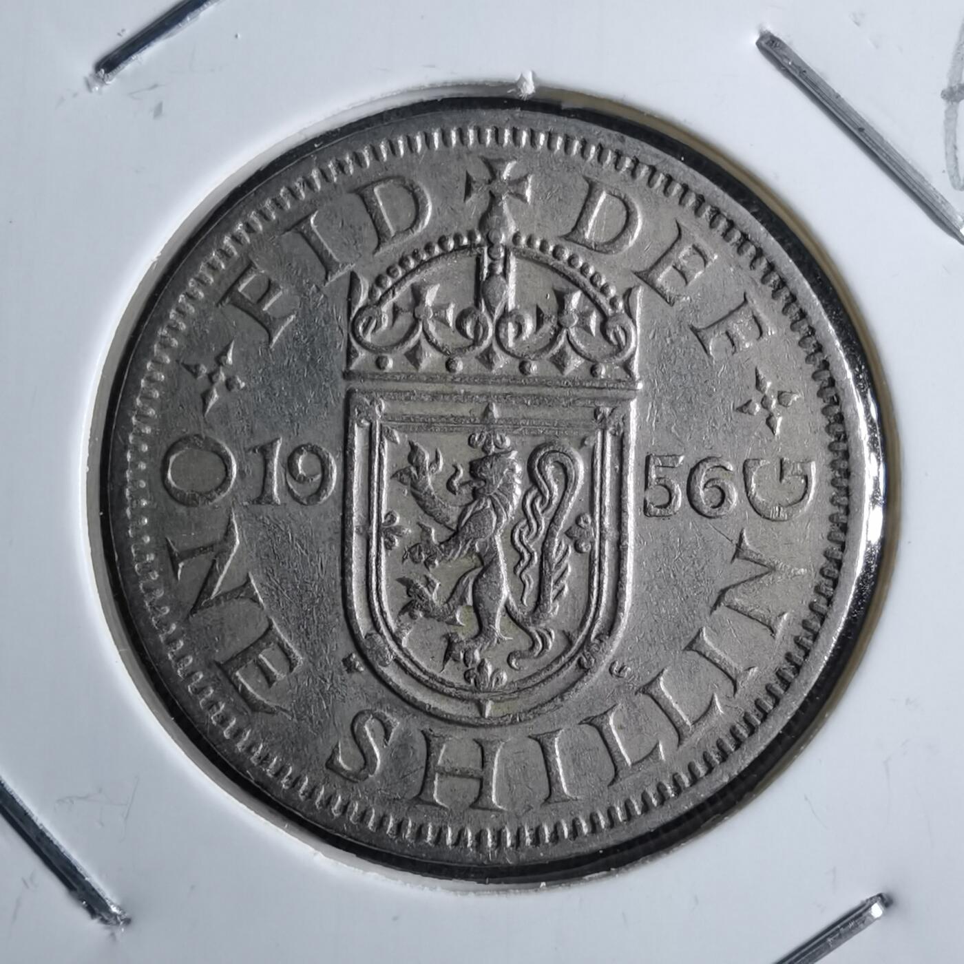 沼泽如烟--第891场