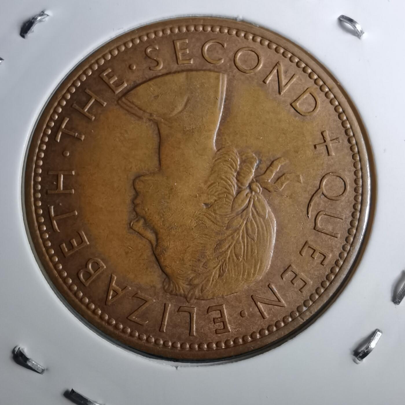 沼泽如烟--第891场