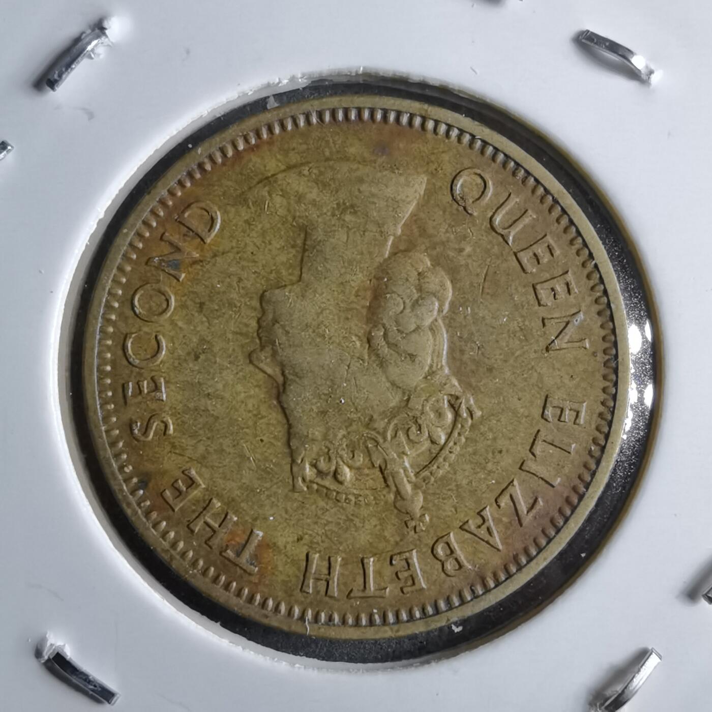 沼泽如烟--第891场