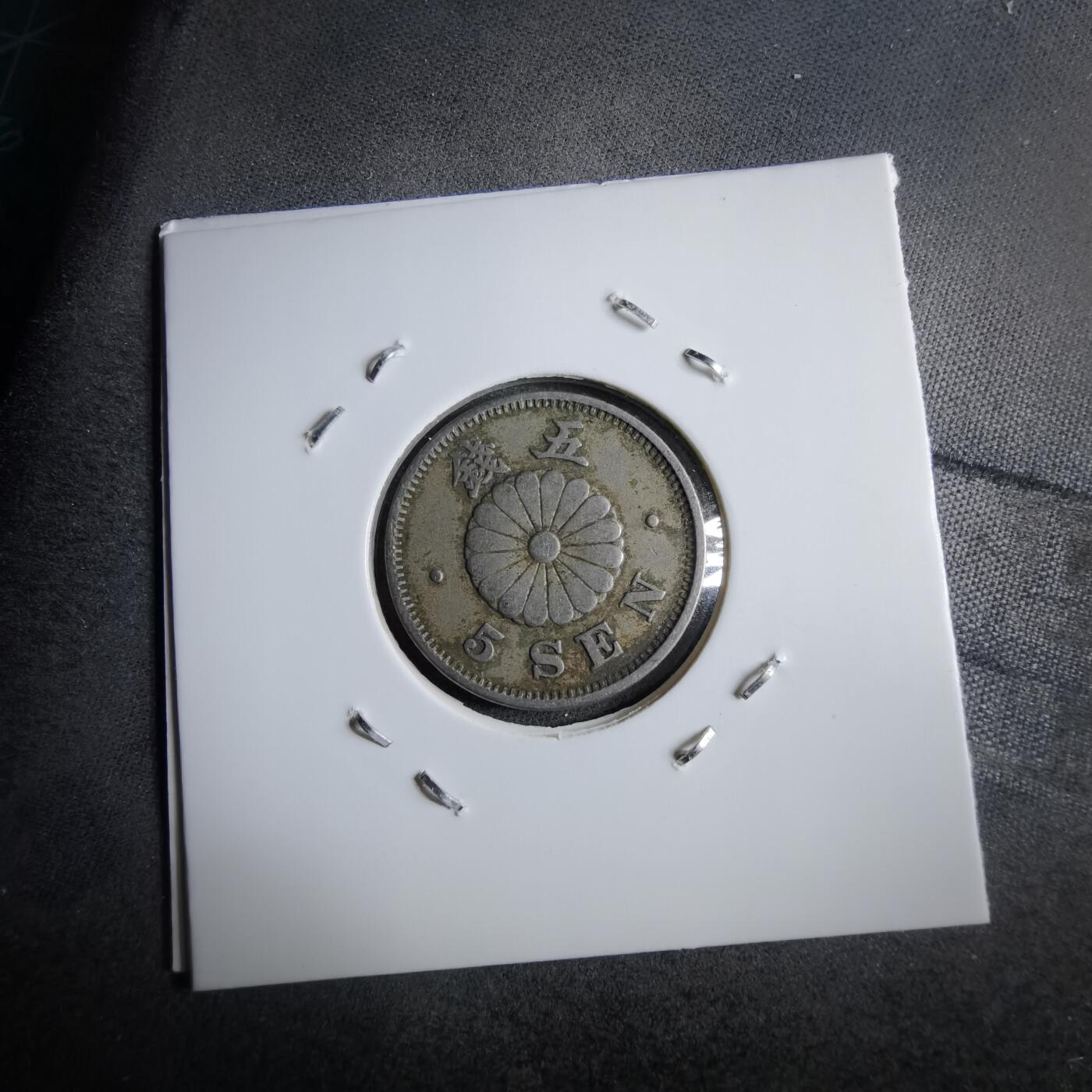 沼泽如烟--第891场