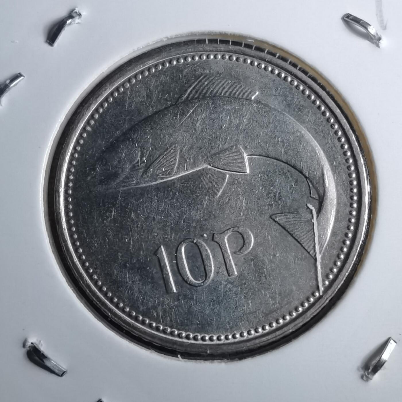 沼泽如烟--第891场