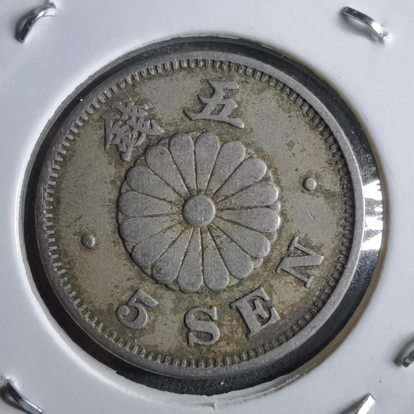 沼泽如烟--第891场