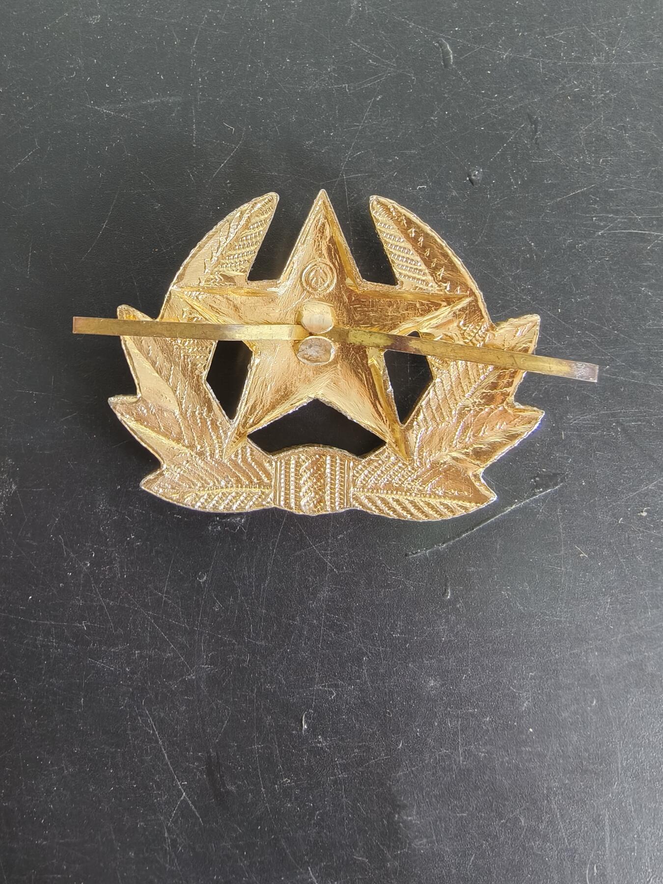 老王徽章第161期