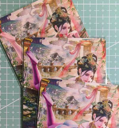 C先生卡牌 第15期 元集纪·刷子签·罐儿签·毒瘤签(持续收拍品中...) - 【普卡】燎原×巴丁《绝色绘卷》西施 三渐变