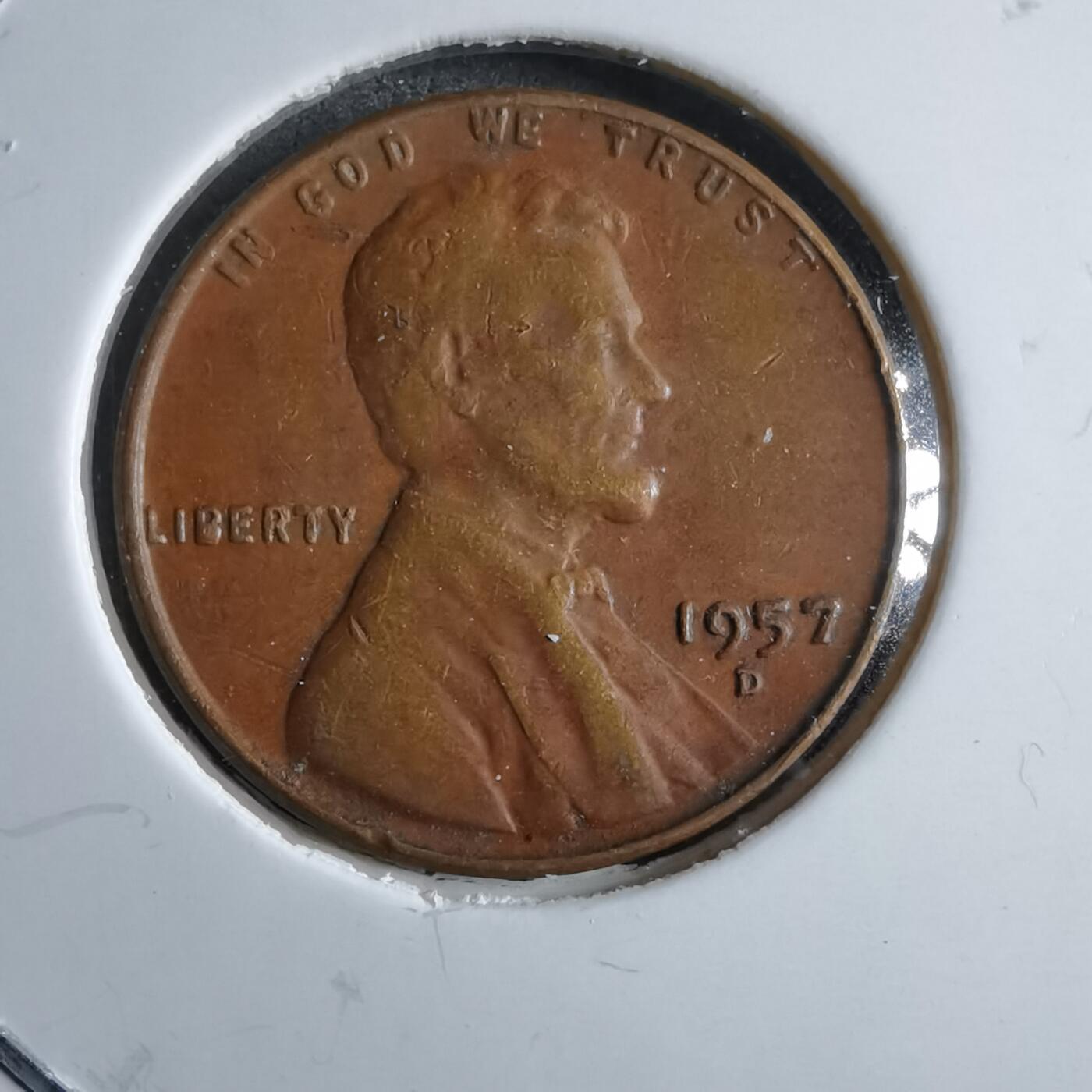 沼泽如烟--第891场