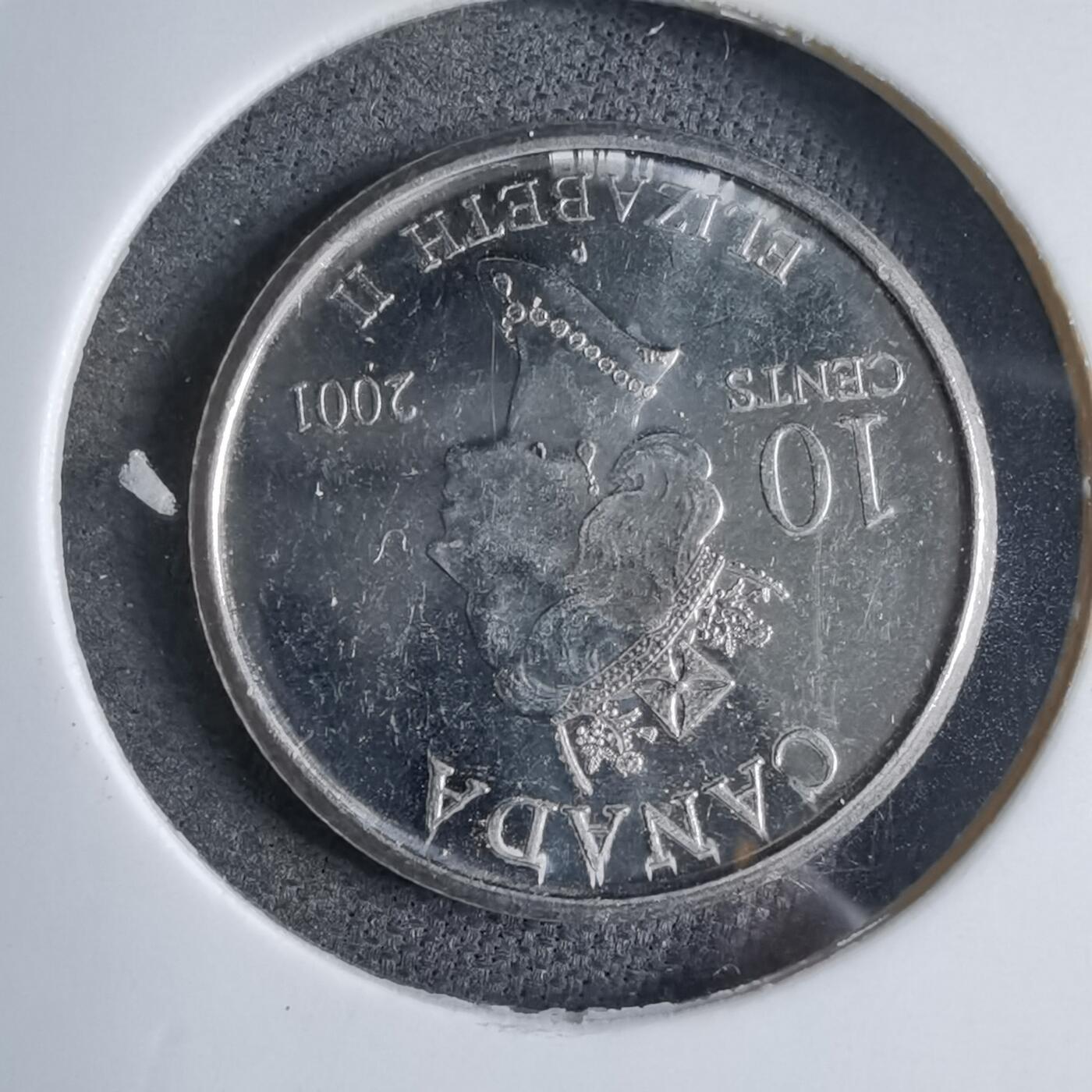 沼泽如烟--第890场