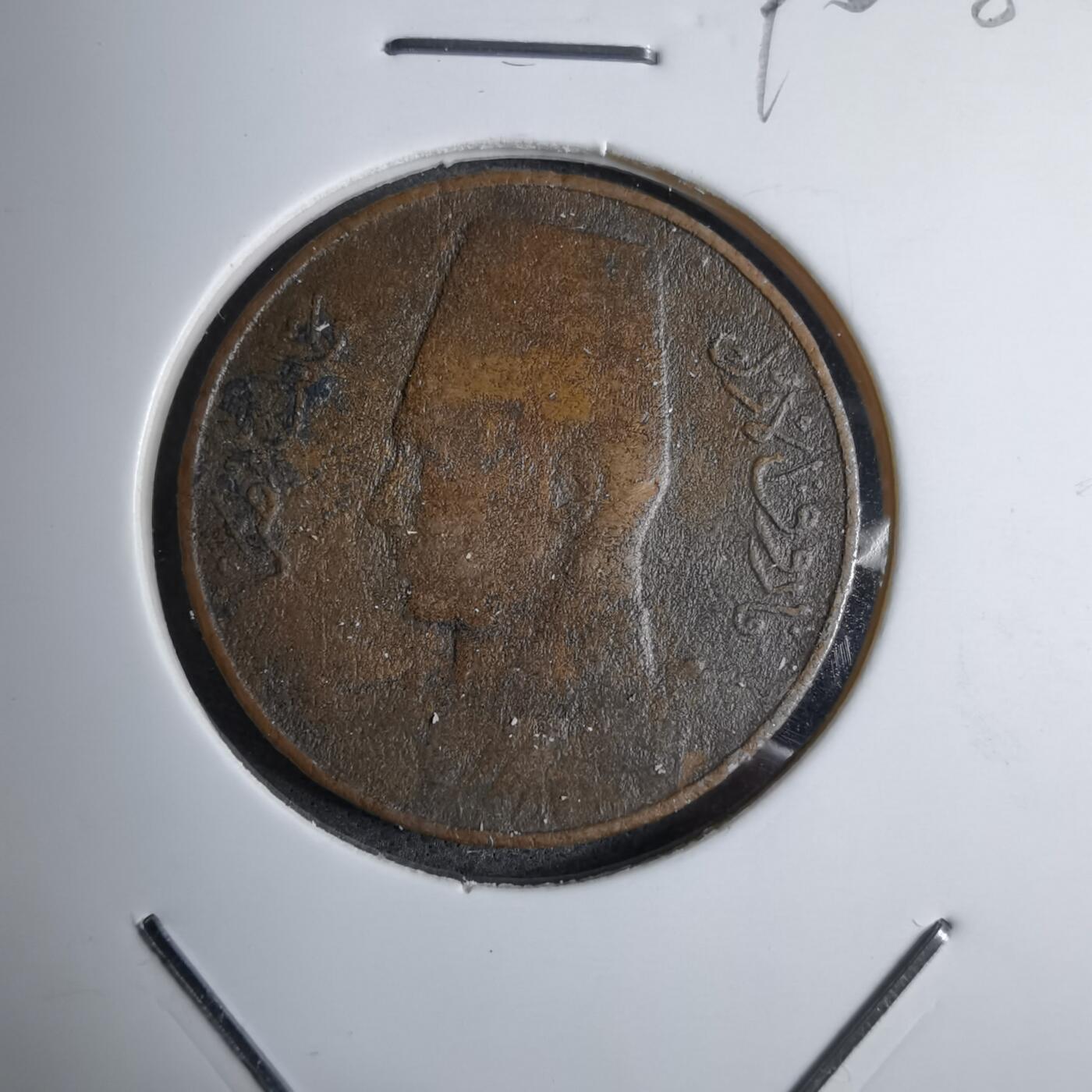 沼泽如烟--第890场 埃及