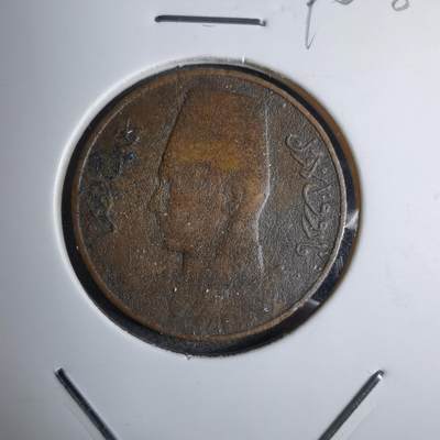 沼泽如烟--第890场 - 埃及