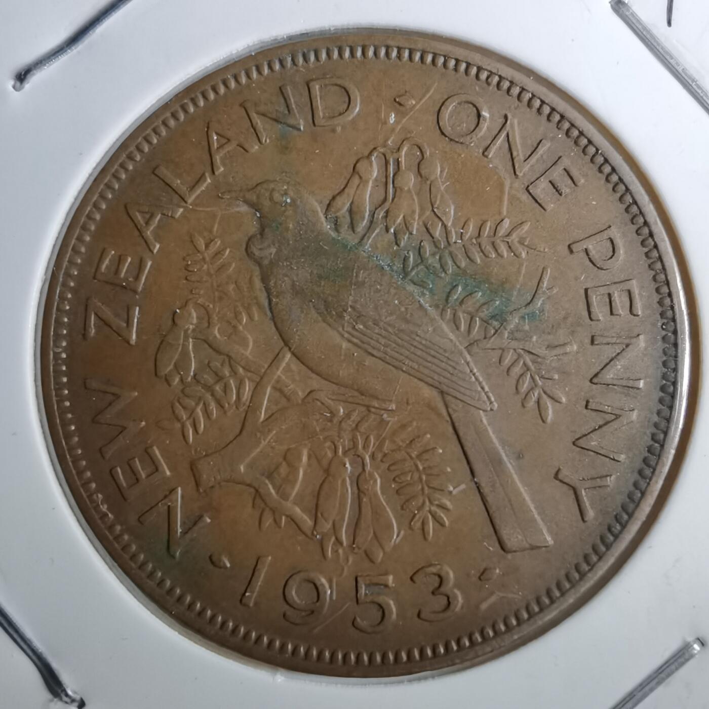 沼泽如烟--第891场