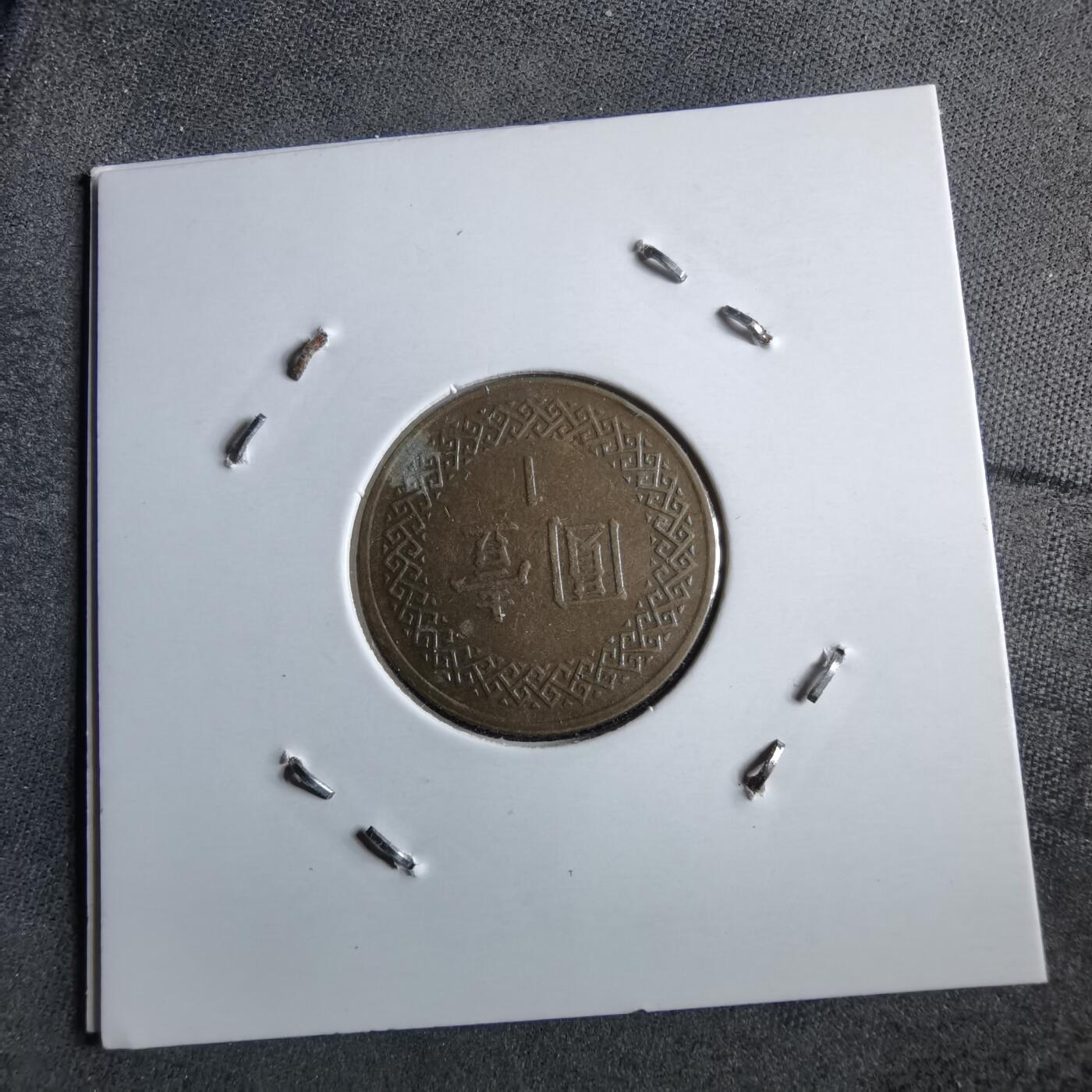 沼泽如烟--第891场