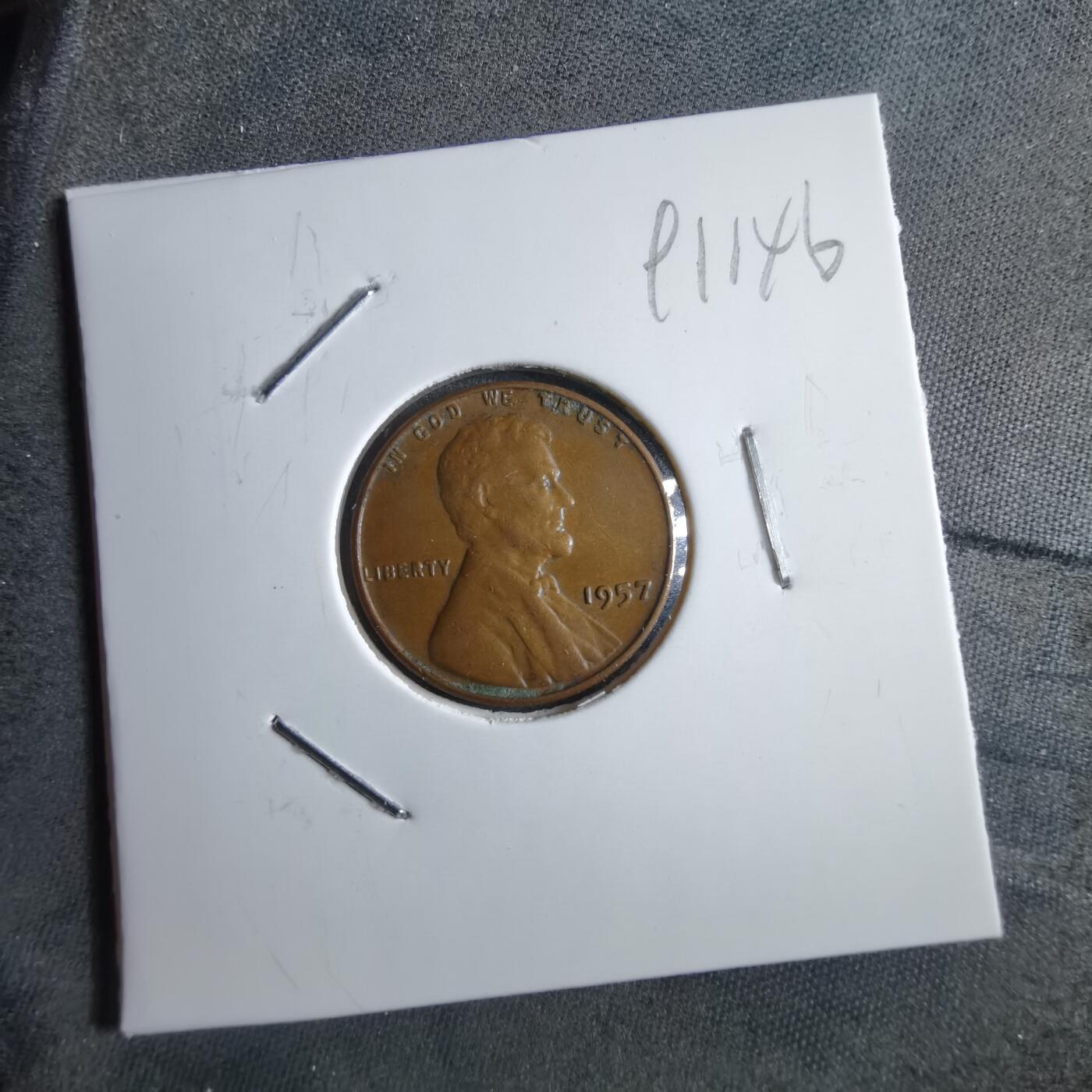 沼泽如烟--第891场