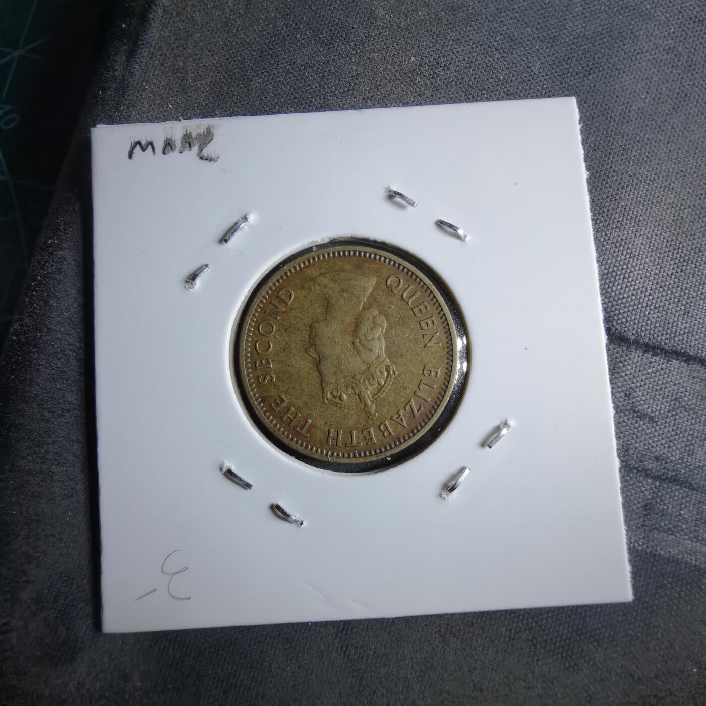 沼泽如烟--第891场