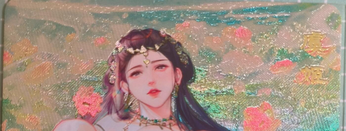 C先生卡牌 第15期 元集纪·刷子签·罐儿签·毒瘤签(持续收拍品中...) 【粗闪】砖家卡牌《艳绝天下》虞姬