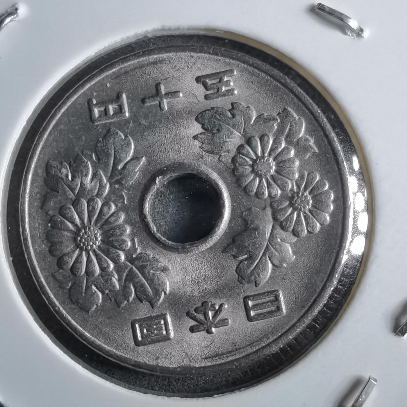 沼泽如烟--第891场