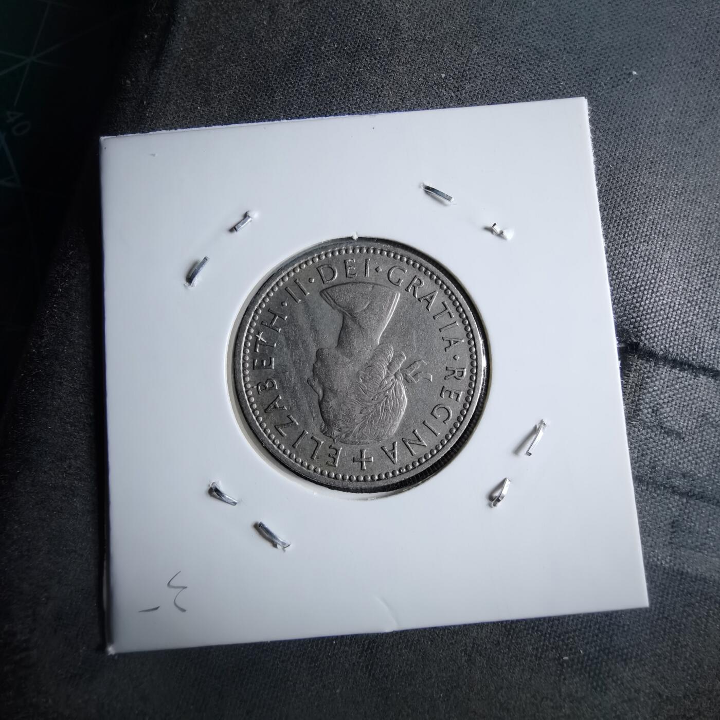 沼泽如烟--第891场