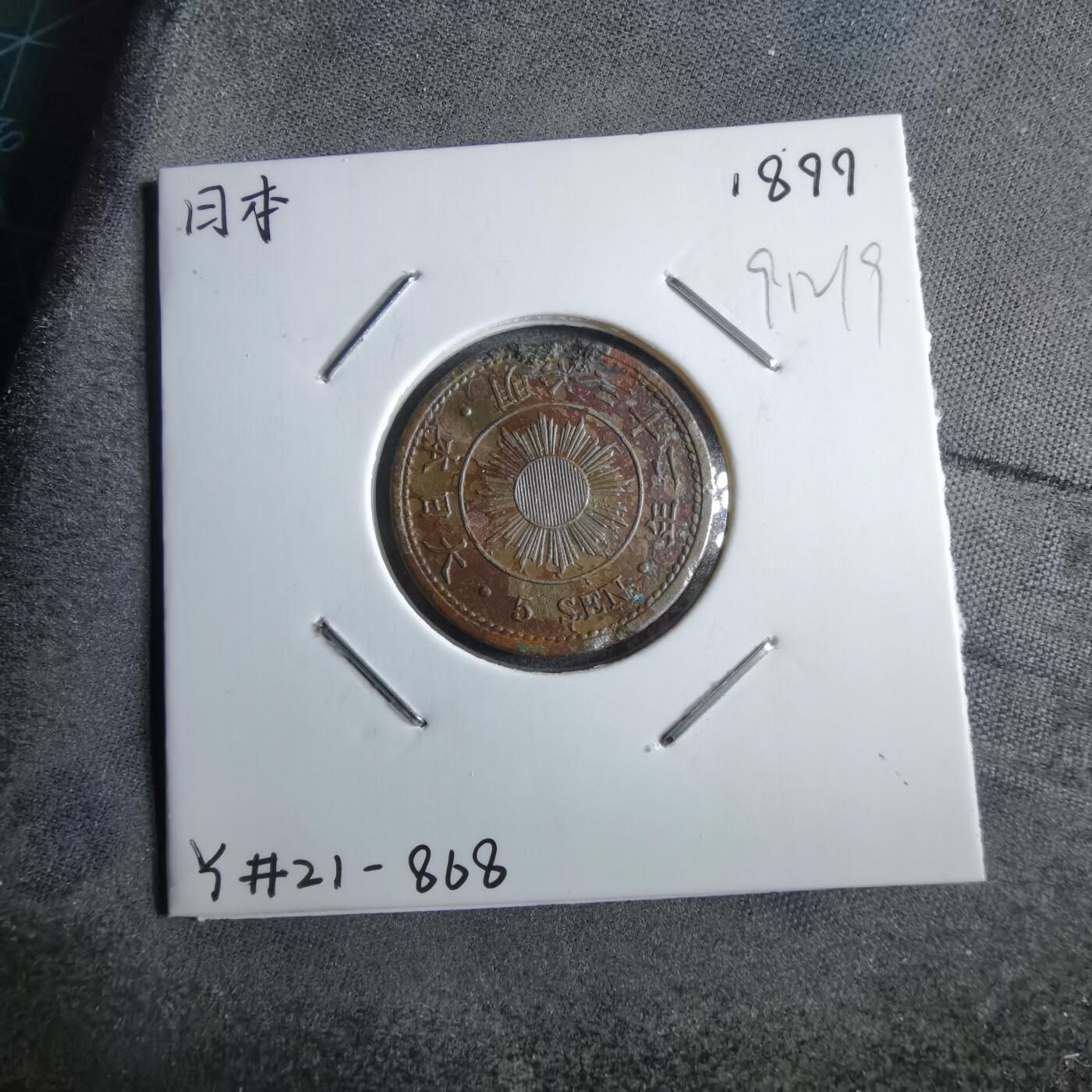 沼泽如烟--第891场