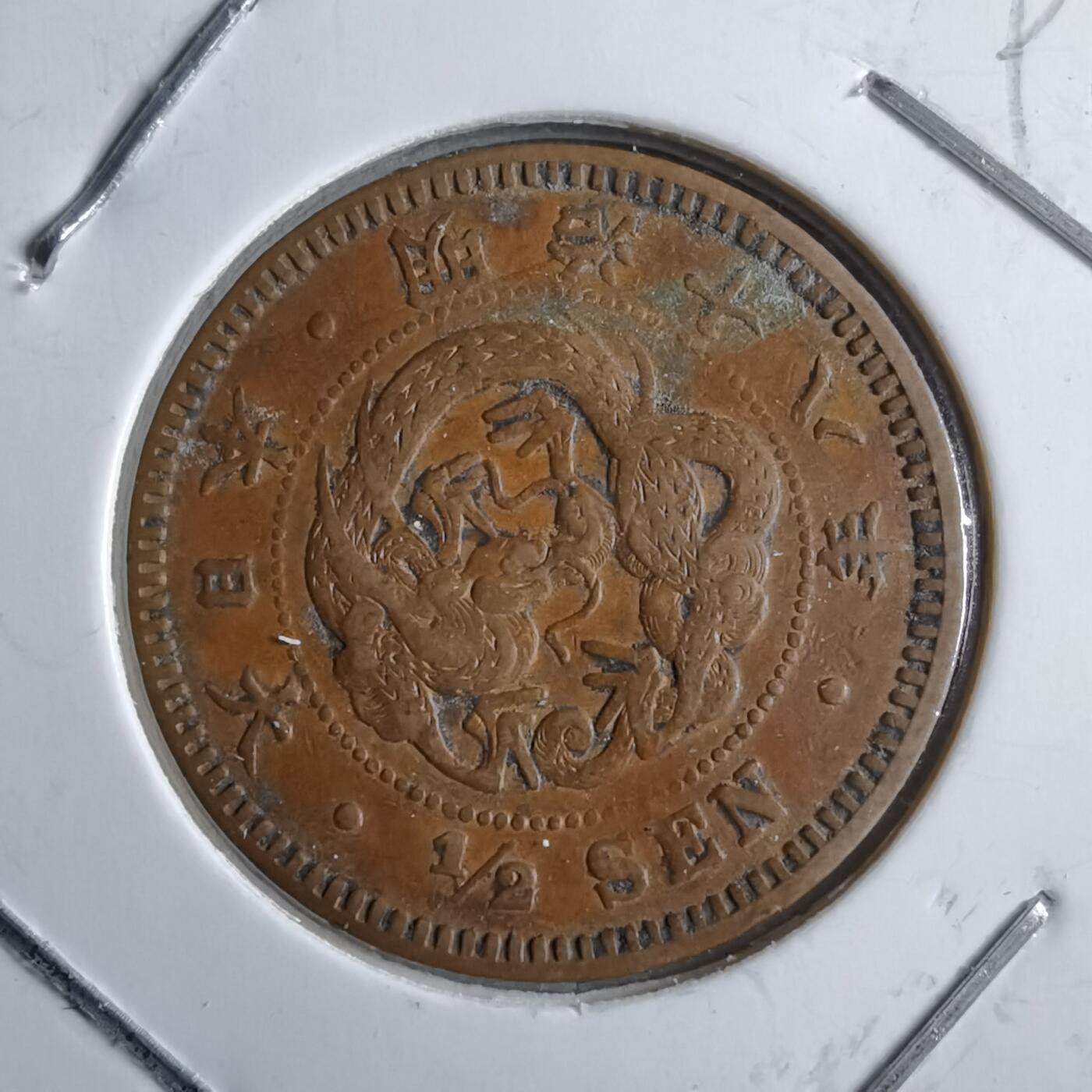 沼泽如烟--第891场