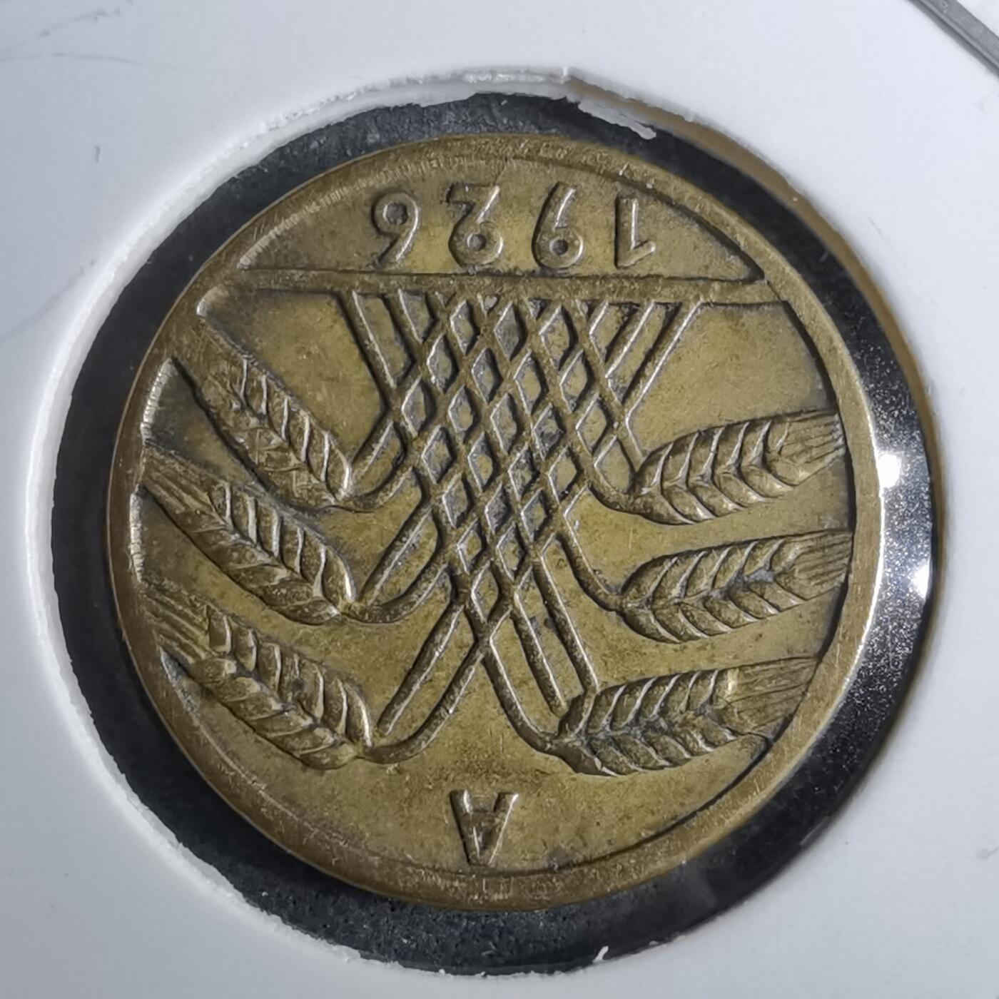 沼泽如烟--第891场