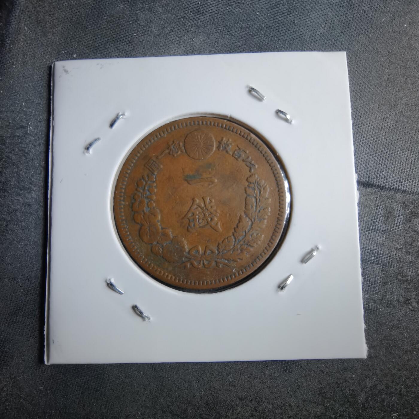 沼泽如烟--第891场