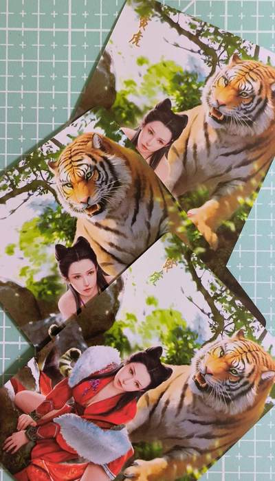 C先生卡牌 第15期 元集纪·刷子签·罐儿签·毒瘤签(持续收拍品中...) - 【彩闪】燎原《十二生肖》寅虎 三渐变